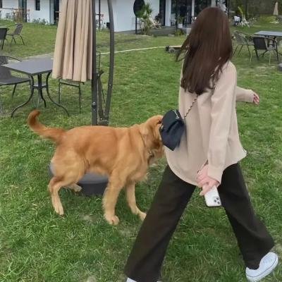 警界传奇